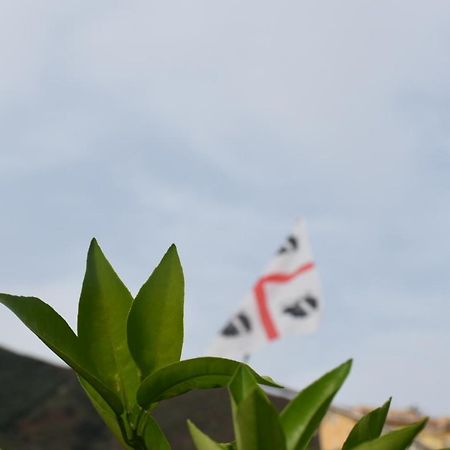 Sa Mariposa Bed & Breakfast Muravera Dış mekan fotoğraf