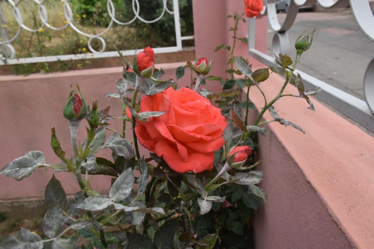 Sa Mariposa Bed & Breakfast Muravera Dış mekan fotoğraf